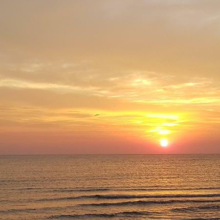 Summerhouse Apartments Mamaia Dış mekan fotoğraf